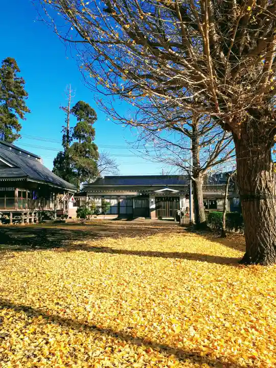 白山神社の自然