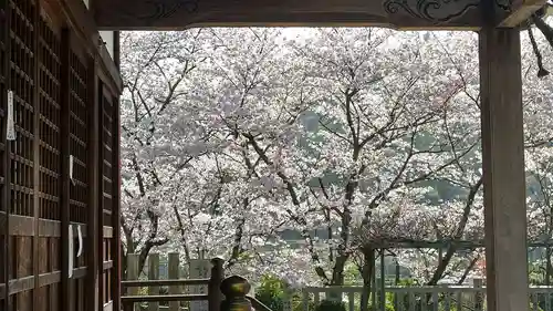 木華佐久耶比咩神社の自然