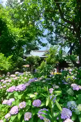 白山神社(東京都)