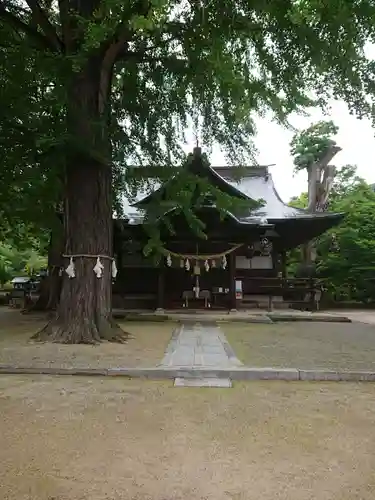 賀羅加波神社の本殿