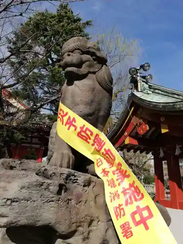 浅草神社の狛犬