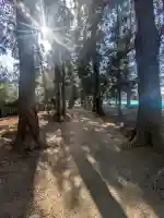 香取神社の{uncategorized: "未分類", other: "その他", undefined: "問題あり", building: "その他建物", grave: "お墓", sacred_gate: "鳥居", guardian: "狛犬", statue: "像", buddha: "仏像", history: "歴史", nature: "自然", garden: "庭園", animal: "動物", pagoda: "塔", temizu: "手水舎", mountain_gate: "山門・神門", sanctuary: "本殿・本堂", subordinate: "末社・摂社", art: "芸術", scenery: "景色", jizo: "地蔵", ema: "絵馬", goshuin: "御朱印", omikuji: "おみくじ", items: "授与品その他", amulet: "お守り", goshuincho: "御朱印帳", eats: "食事", festival: "お祭り", votive_dance: "神楽", shichigosan: "七五三参", wedding: "結婚式", experience: "体験その他", initially: "初詣", around: "周辺", anti_infection: "感染症対策"}