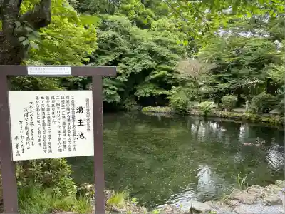 富士山本宮浅間大社(静岡県)