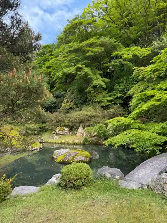 青蓮院門跡の{uncategorized: "未分類", other: "その他", undefined: "問題あり", building: "その他建物", grave: "お墓", sacred_gate: "鳥居", guardian: "狛犬", statue: "像", buddha: "仏像", history: "歴史", nature: "自然", garden: "庭園", animal: "動物", pagoda: "塔", temizu: "手水舎", mountain_gate: "山門・神門", sanctuary: "本殿・本堂", subordinate: "末社・摂社", art: "芸術", scenery: "景色", jizo: "地蔵", ema: "絵馬", goshuin: "御朱印", omikuji: "おみくじ", items: "授与品その他", amulet: "お守り", goshuincho: "御朱印帳", eats: "食事", festival: "お祭り", votive_dance: "神楽", shichigosan: "七五三参", wedding: "結婚式", experience: "体験その他", initially: "初詣", around: "周辺", anti_infection: "感染症対策"}