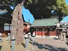 比枝神社(大阪府)