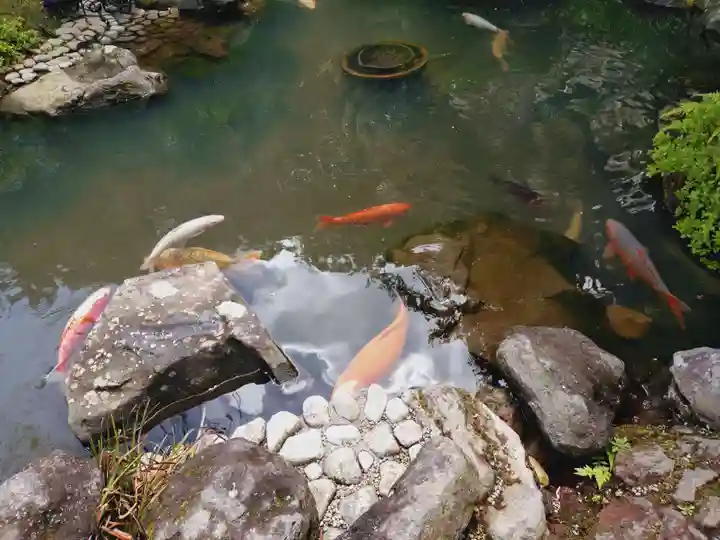 金蛇水神社(宮城県)