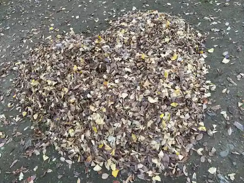 小野神社(東京都)
