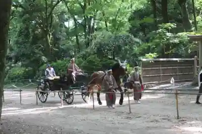 賀茂御祖神社(下鴨神社)(京都府)