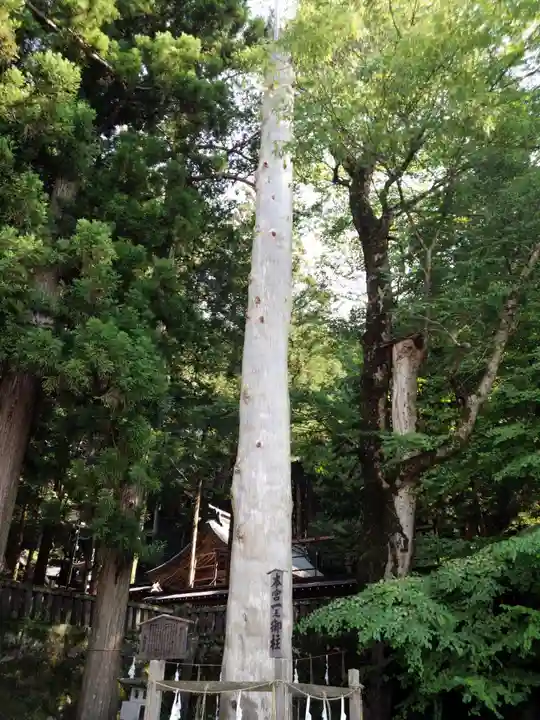 諏訪大社の自然