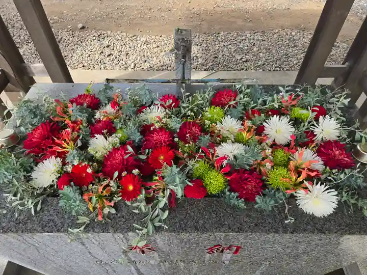 長沼八幡宮(栃木県)