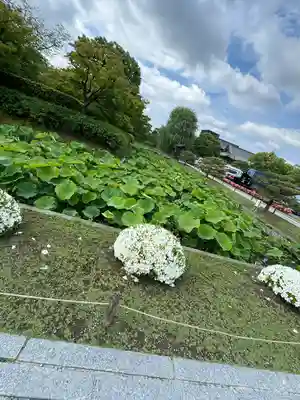 東寺（教王護国寺）(京都府)