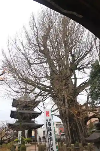 飛騨国分寺のその他建物