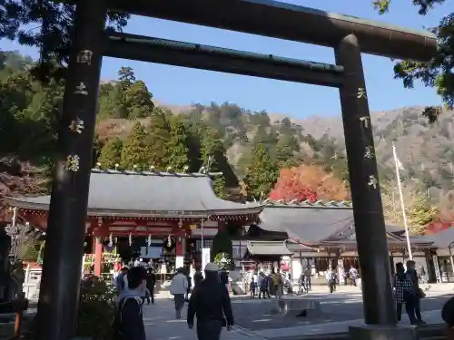 大山阿夫利神社の鳥居