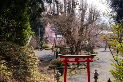 村山浅間神社(静岡県)