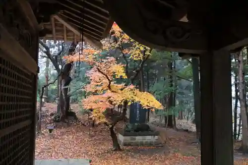 諏訪神社の庭園