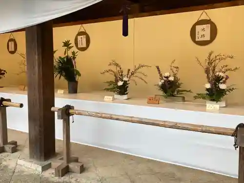 明治神宮(東京都)