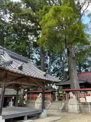 佐々尾神社(京都府)