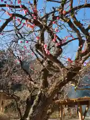 芳賀天満宮の自然