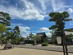 誉田八幡宮(大阪府)