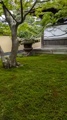 黄梅院(京都府)