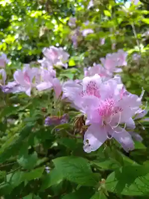 枚岡神社神津嶽本宮(大阪府)