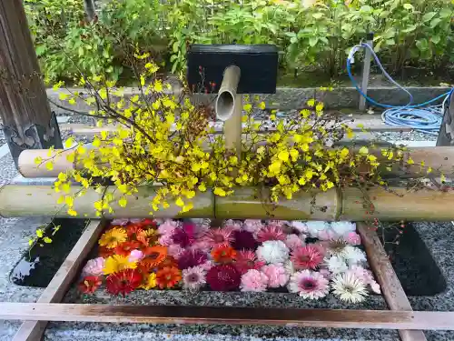 白山神社(新潟県)