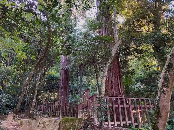 八重垣神社の自然