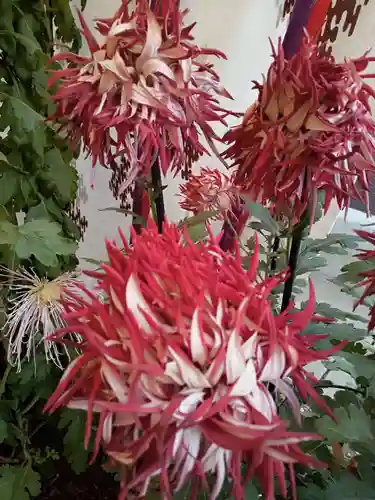 検見川神社の自然