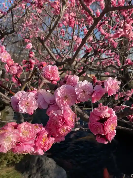 正眼寺(愛知県)