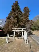 大宮飯沼神社の{uncategorized: "未分類", other: "その他", undefined: "問題あり", building: "その他建物", grave: "お墓", sacred_gate: "鳥居", guardian: "狛犬", statue: "像", buddha: "仏像", history: "歴史", nature: "自然", garden: "庭園", animal: "動物", pagoda: "塔", temizu: "手水舎", mountain_gate: "山門・神門", sanctuary: "本殿・本堂", subordinate: "末社・摂社", art: "芸術", scenery: "景色", jizo: "地蔵", ema: "絵馬", goshuin: "御朱印", omikuji: "おみくじ", items: "授与品その他", amulet: "お守り", goshuincho: "御朱印帳", eats: "食事", festival: "お祭り", votive_dance: "神楽", shichigosan: "七五三参", wedding: "結婚式", experience: "体験その他", initially: "初詣", around: "周辺", anti_infection: "感染症対策"}