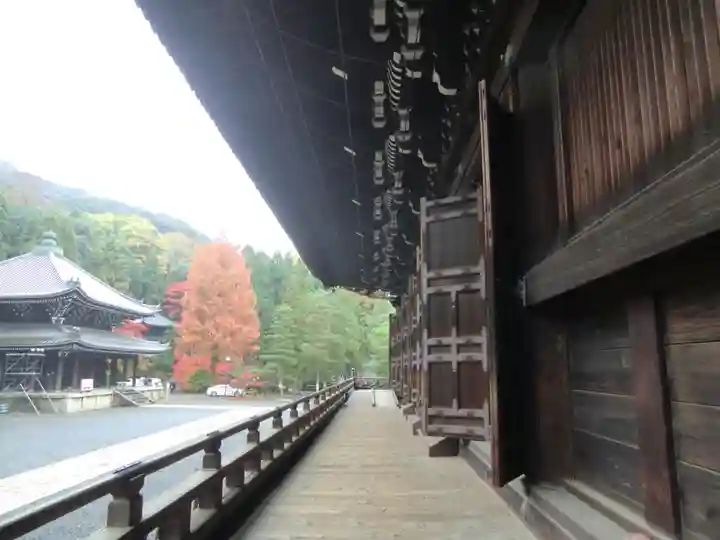 知恩院(京都府)