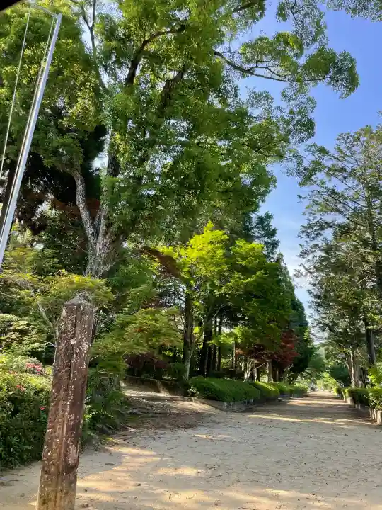 黒髪神社の{uncategorized: "未分類", other: "その他", undefined: "問題あり", building: "その他建物", grave: "お墓", sacred_gate: "鳥居", guardian: "狛犬", statue: "像", buddha: "仏像", history: "歴史", nature: "自然", garden: "庭園", animal: "動物", pagoda: "塔", temizu: "手水舎", mountain_gate: "山門・神門", sanctuary: "本殿・本堂", subordinate: "末社・摂社", art: "芸術", scenery: "景色", jizo: "地蔵", ema: "絵馬", goshuin: "御朱印", omikuji: "おみくじ", items: "授与品その他", amulet: "お守り", goshuincho: "御朱印帳", eats: "食事", festival: "お祭り", votive_dance: "神楽", shichigosan: "七五三参", wedding: "結婚式", experience: "体験その他", initially: "初詣", around: "周辺", anti_infection: "感染症対策"}
