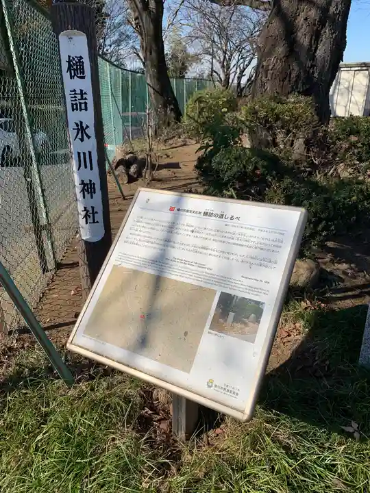 樋詰氷川神社(埼玉県)