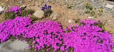 常泉寺(埼玉県)
