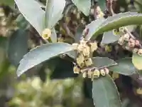 西方山極楽寺(岐阜県)