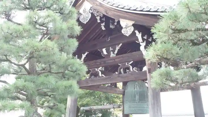 くろ谷 金戒光明寺(京都府)