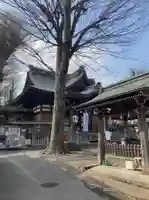 滝野川八幡神社(東京都)