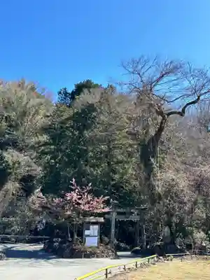 瀧川神社(静岡県)