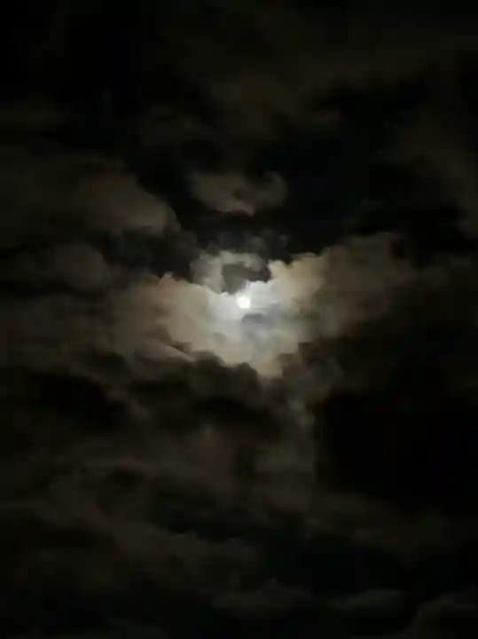 土津神社|こどもと出世の神さまの自然