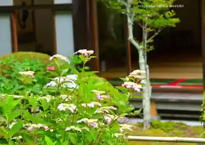 長壽寺（長寿寺）(神奈川県)