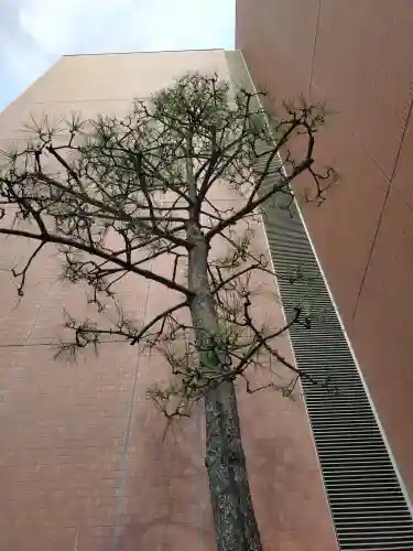 宮代神社(東京都)