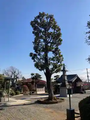 浄心寺(神奈川県)