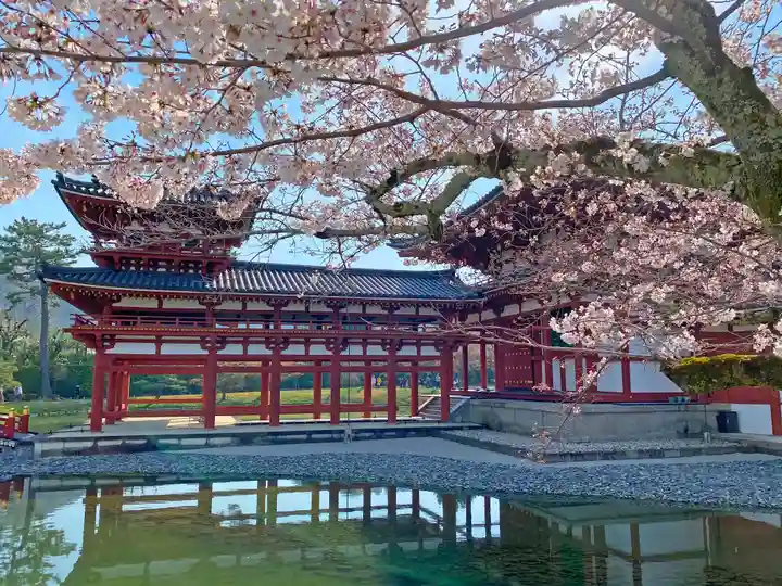 平等院の本殿・本堂