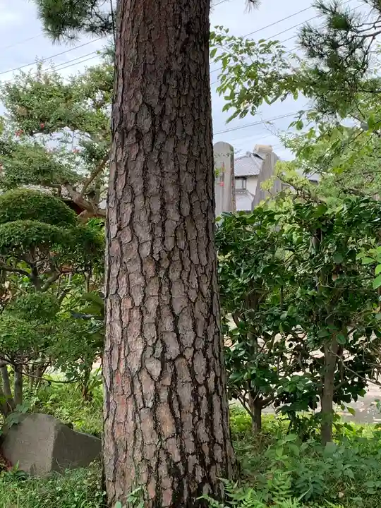 長清寺(栃木県)