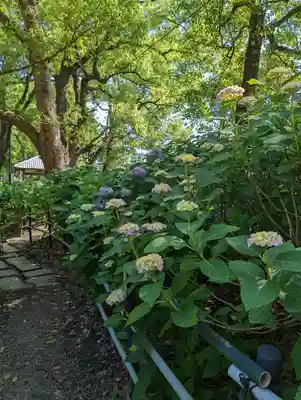 藤森神社(京都府)