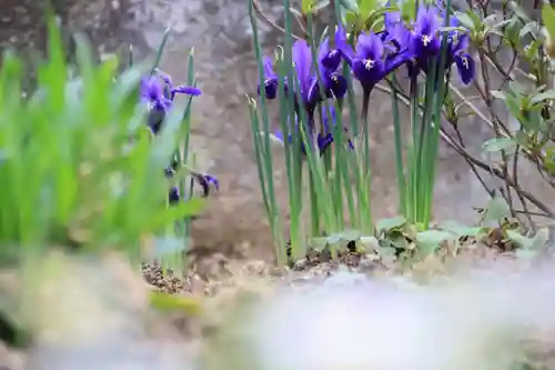 大鏑神社の庭園