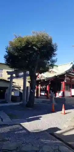 篠原稲荷神社の自然