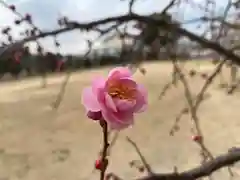 美奈宜神社(福岡県)