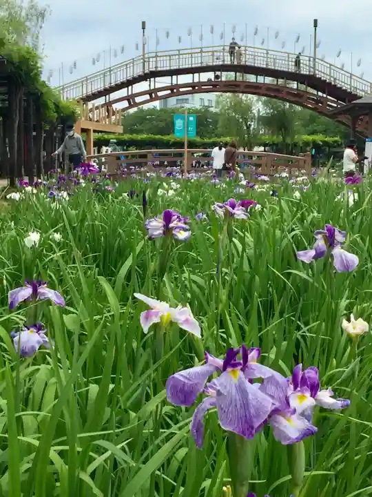 二本松寺の自然