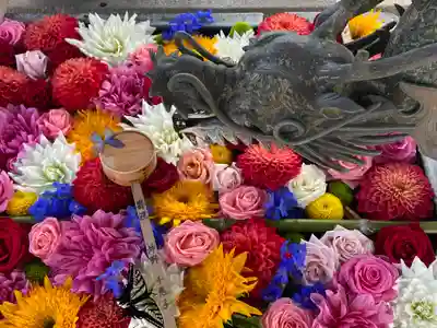 柳谷観音　楊谷寺(京都府)